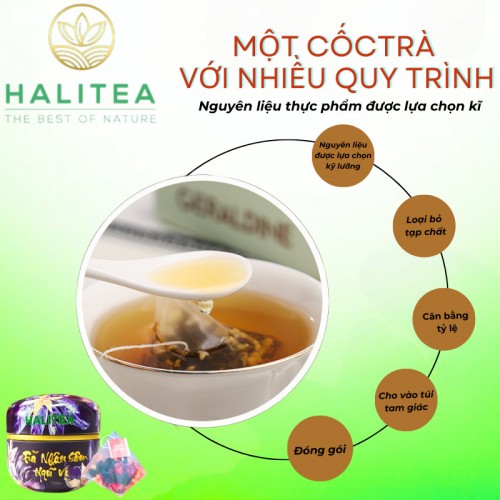 Trà Nhân Sâm Ngũ Vị HALITEA Túi Tam Giác Hộp Thiếc 50gr/ hộp/ 10 túi 